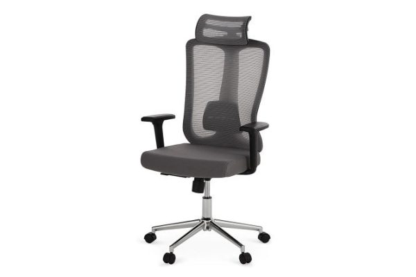 Working chair Canto