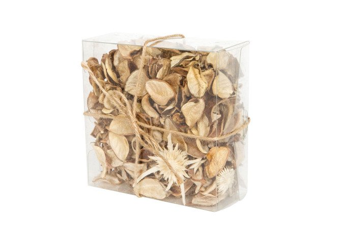 Set of dried flowers