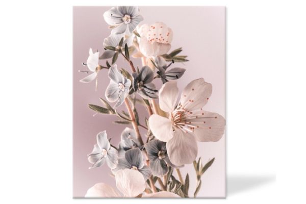 Canvas Idea 40x50 cm