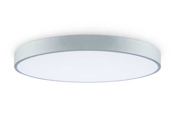 Ceiling lamp FREYA Liva FR6129CL-L80GR 20 sq.m., LED, 50 cm