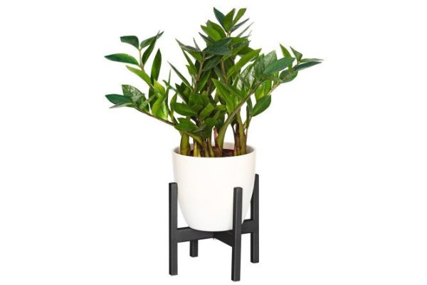 Stand for indoor plants Oxalis 20x20x20 cm, 1 tiers, Floor-standing