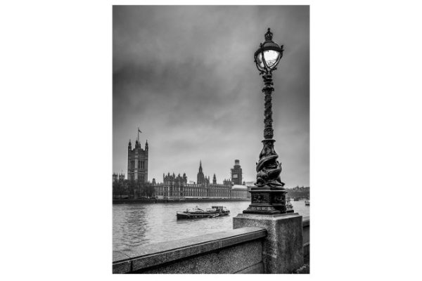 Canvas CT4 55 50x70 cm