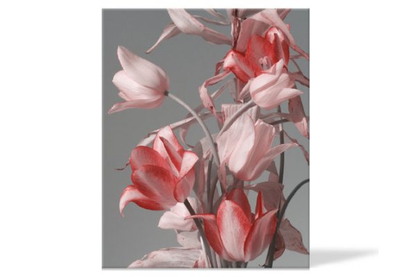 Canvas Idea 40x50 cm