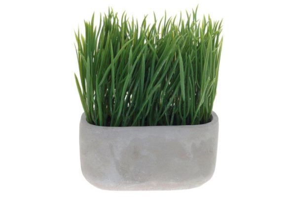z001v58di7arg2pr5sah1gwro8lvb98u.jpg Flower arrangement Sedge 14x8 cm