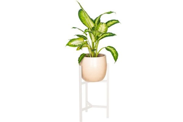 Stand for indoor plants Trinity 40 24x43x22 cm, 1 tiers, Floor-standing